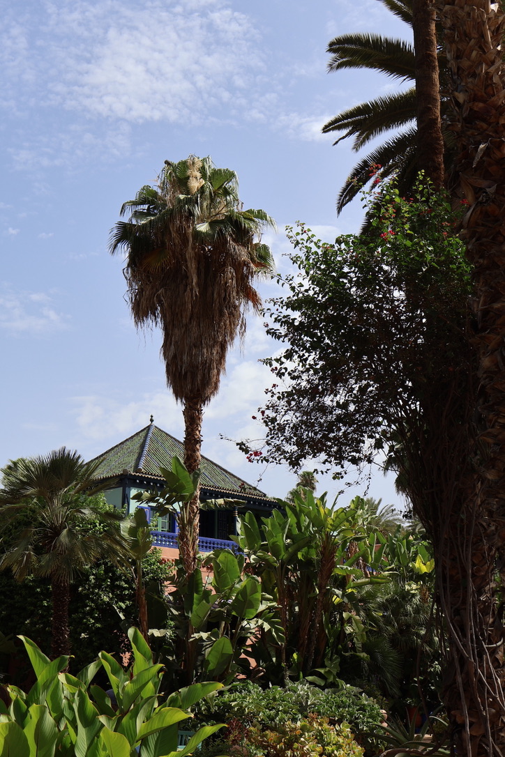 Jardin Majorelle, Marrakech